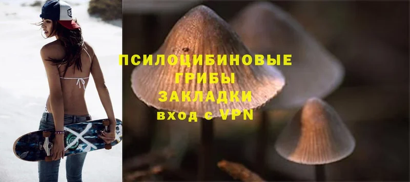 кракен онион  Давлеканово  Галлюциногенные грибы Magic Shrooms 